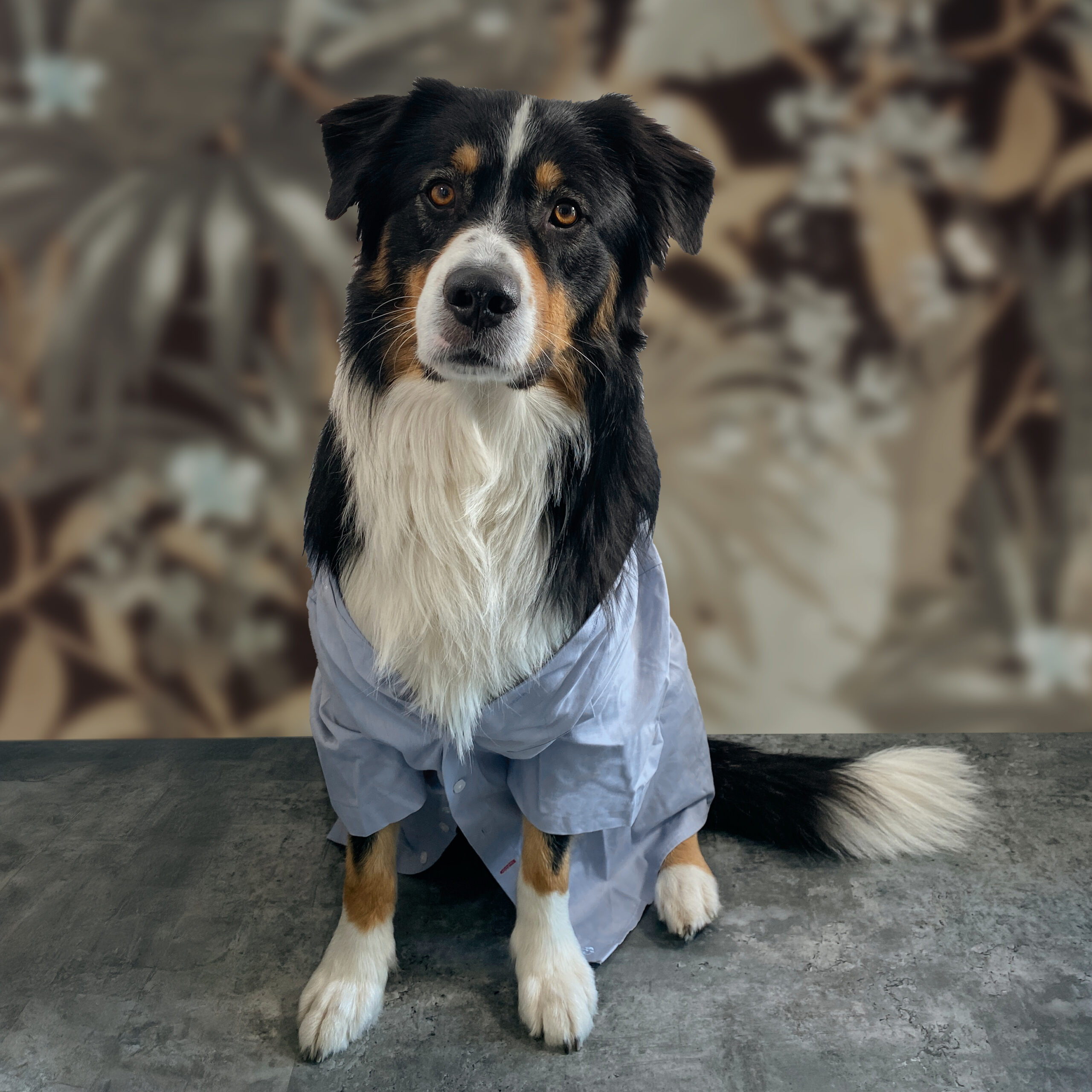 Portrait Lui